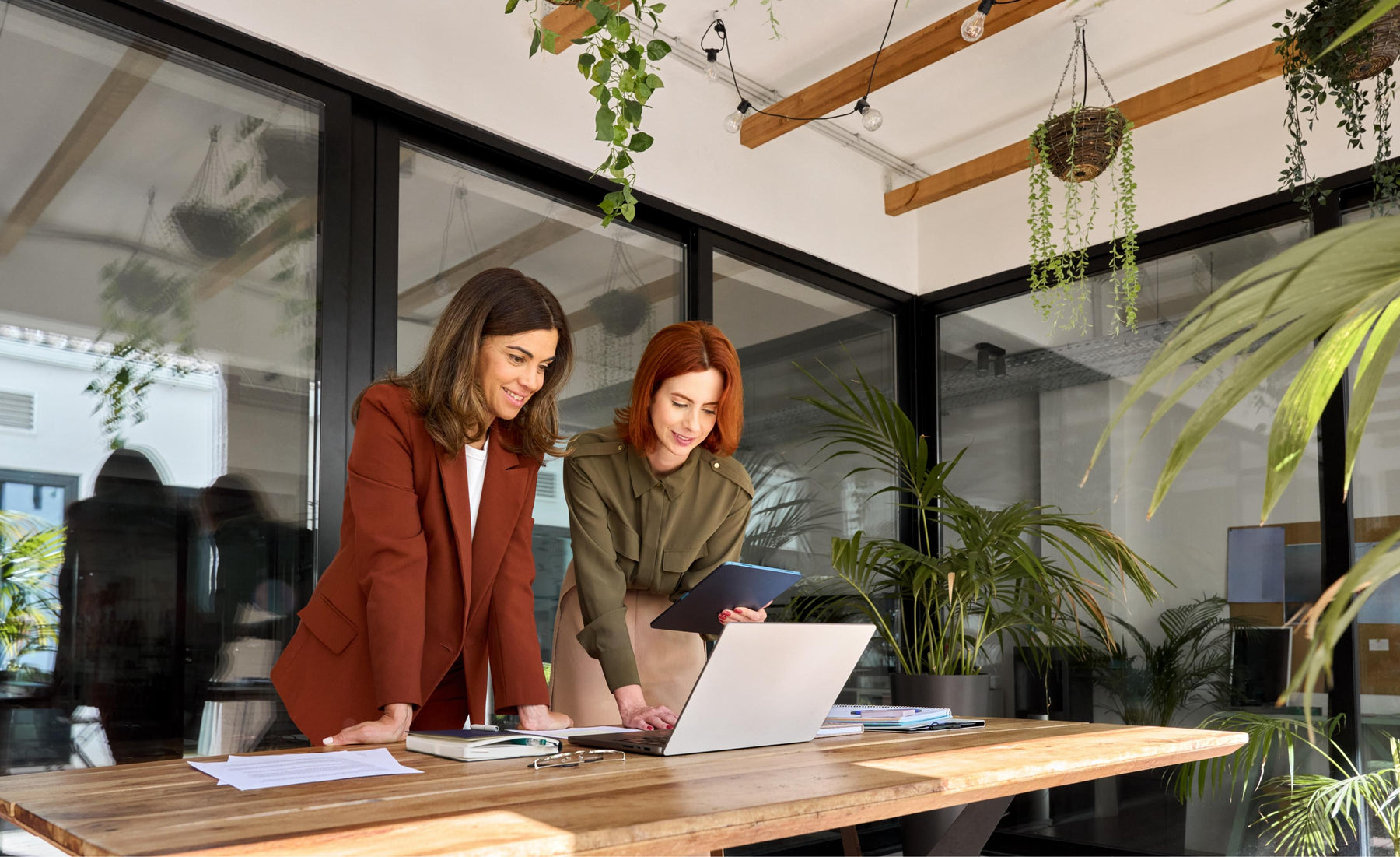 Green office ideas in displayed in a modern office